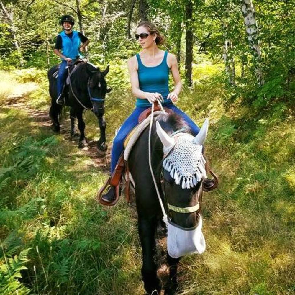 Meet your Posher, Lori